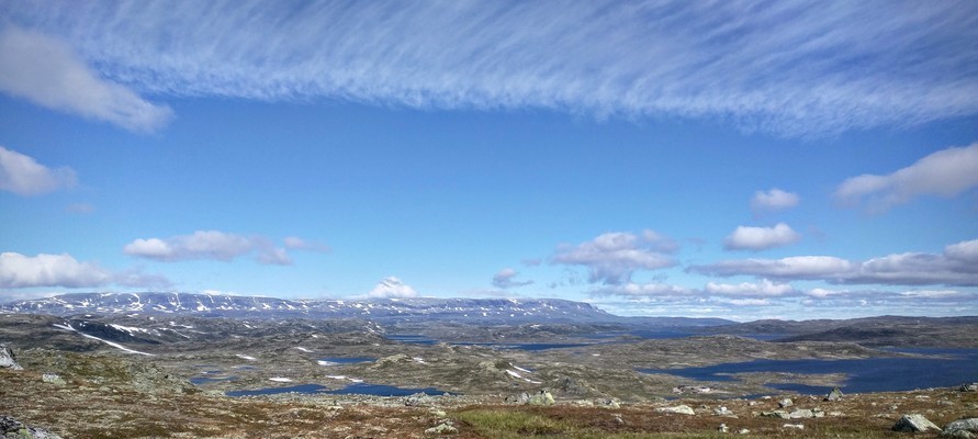Walking in Hardangervidda